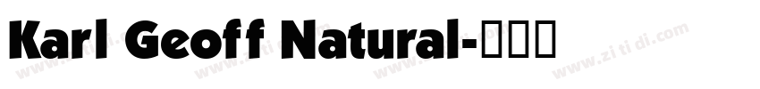 Karl Geoff Natural字体转换
